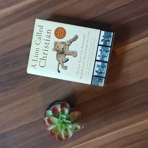 🦁 A Lion Called Christian 🦁